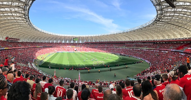 杨巧双表现