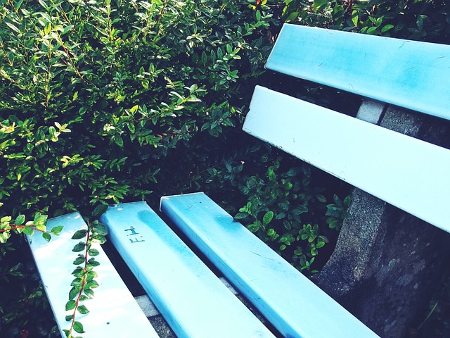 的传统现象 的传统现象