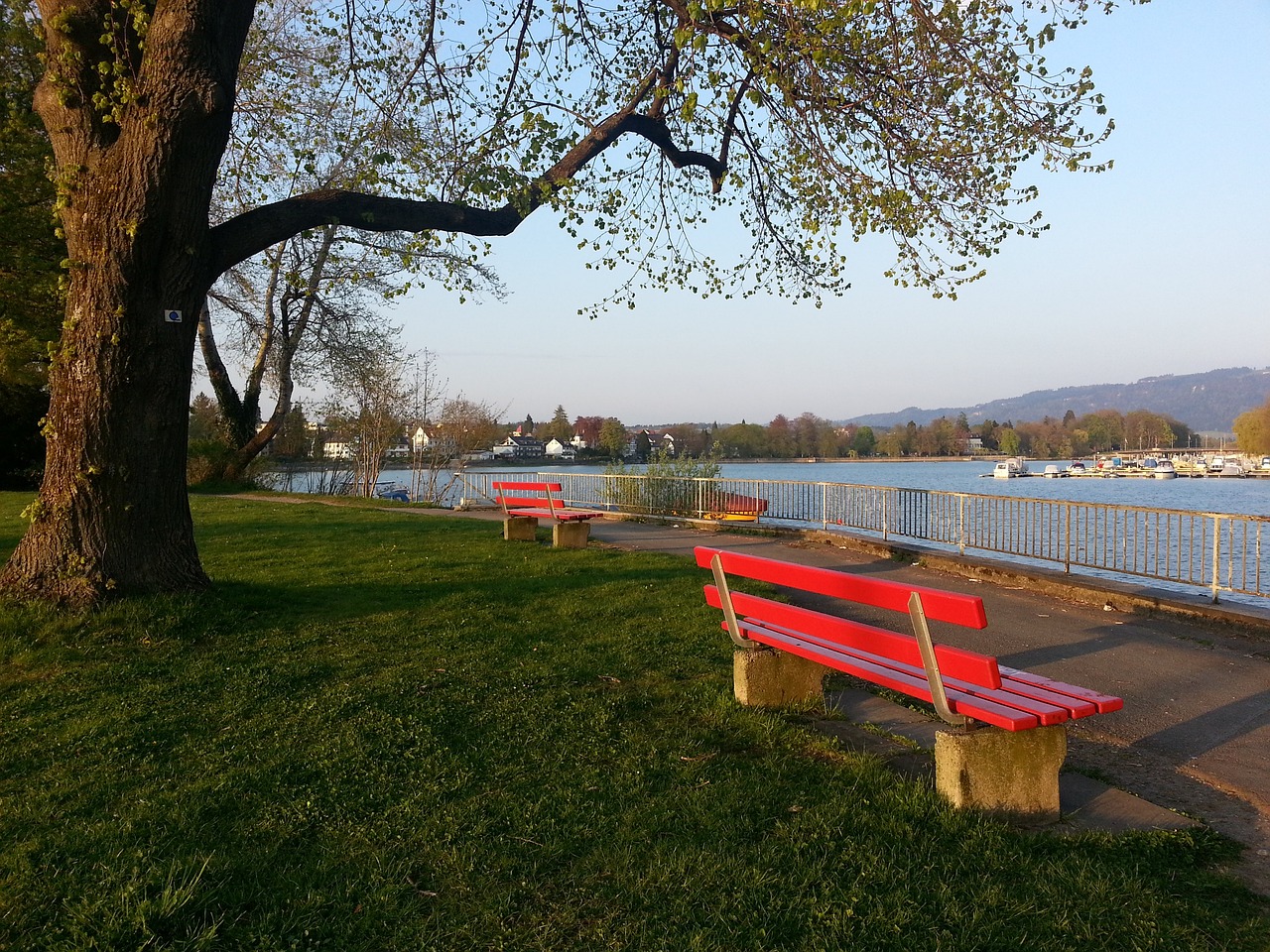 中国足协逐 中国足协逐