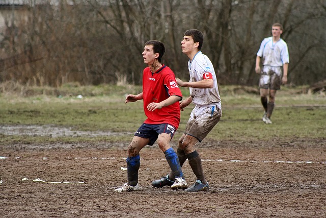 中提防波爾 中提防波爾