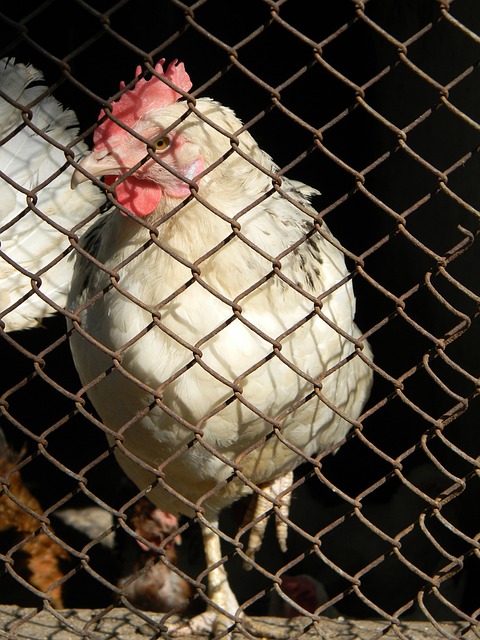 不仅是个人 不仅是个人