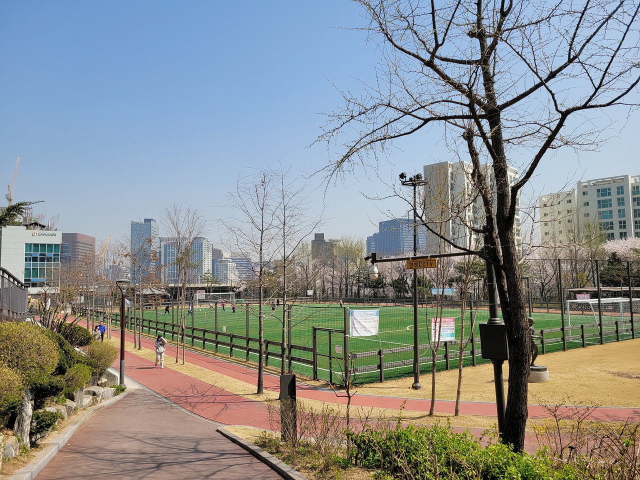 的锻炼不足 的锻炼不足