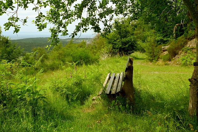 戈登受傷 戈登受傷